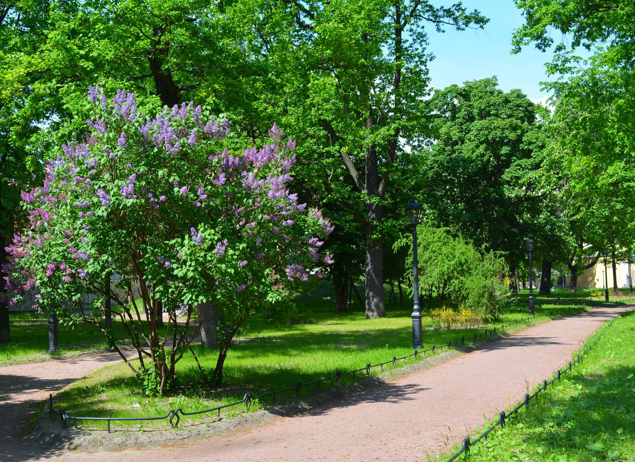 юсуповский парк в ракитном