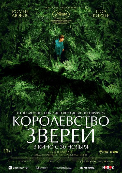 Королевство зверей Королевство зверей