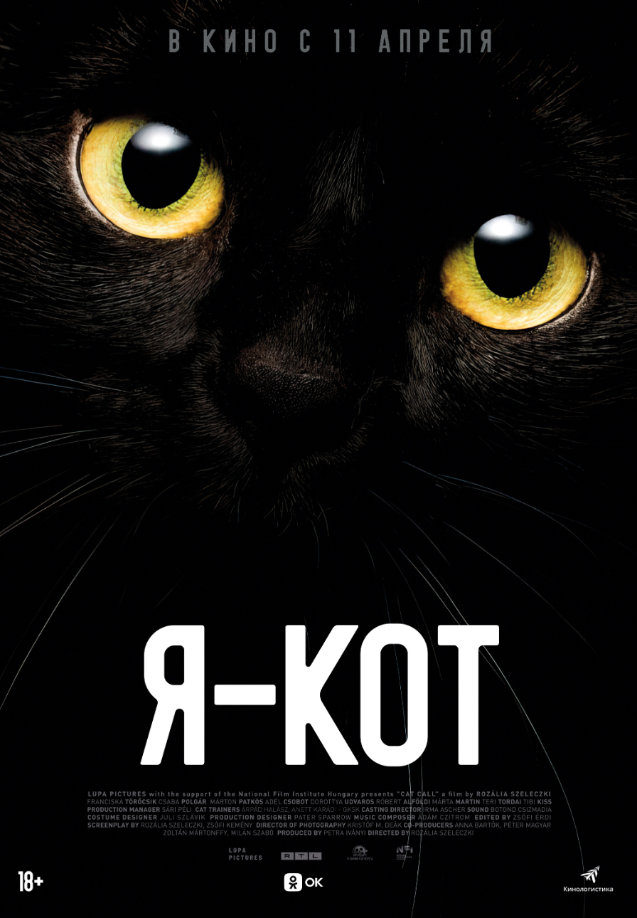 Я — кот