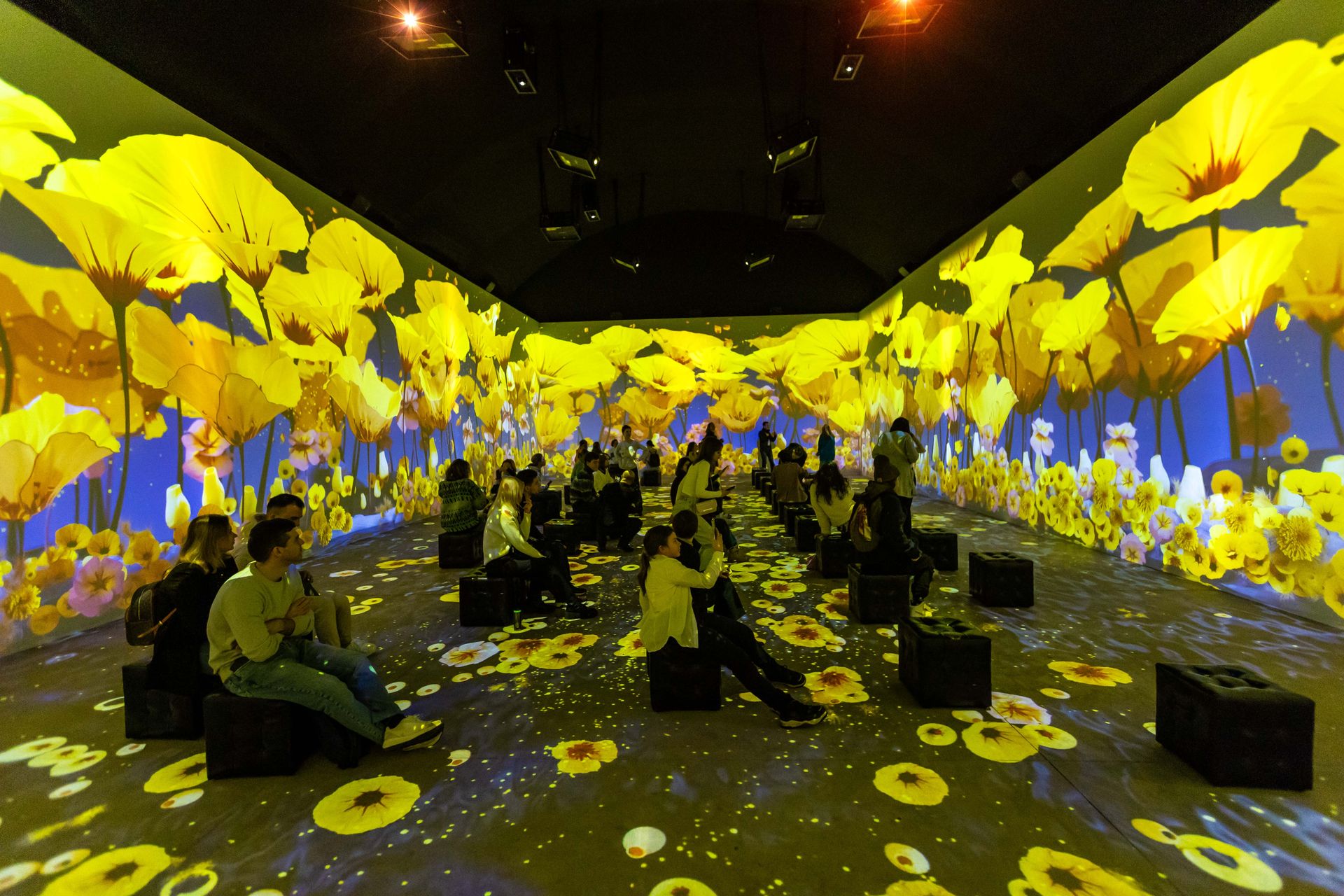 Лаборатория цвета