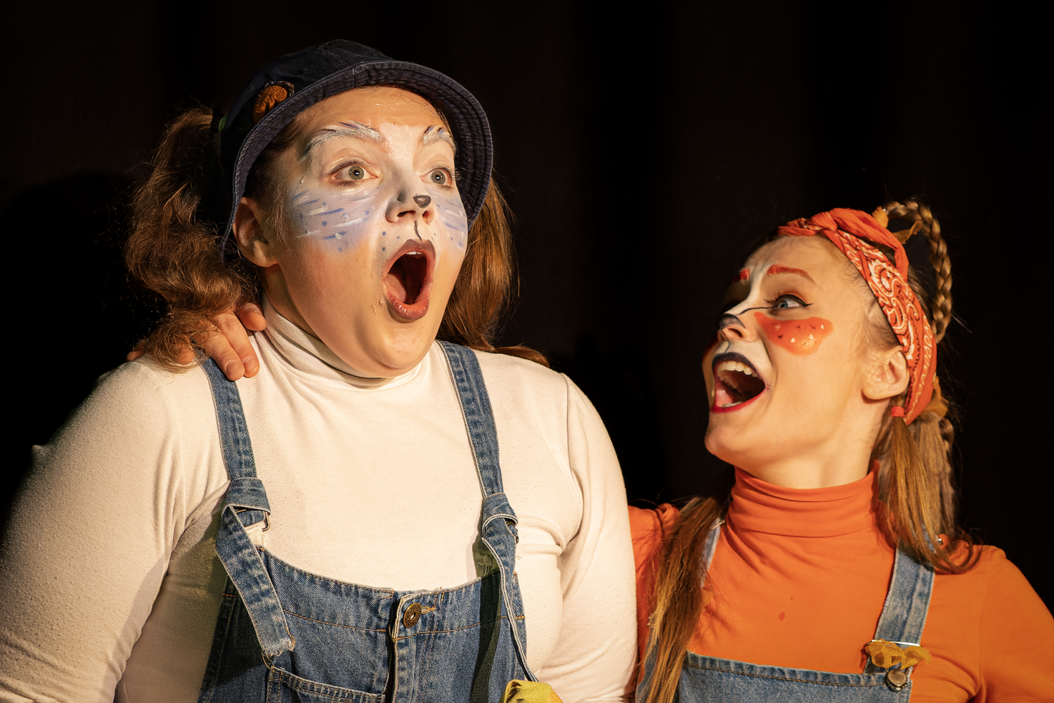 Сказка о том, как Лисенок дружить учился