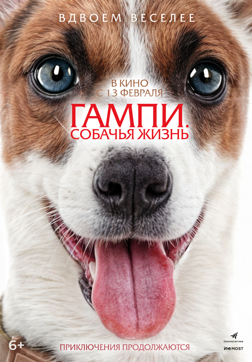 Гампи: Собачья жизнь