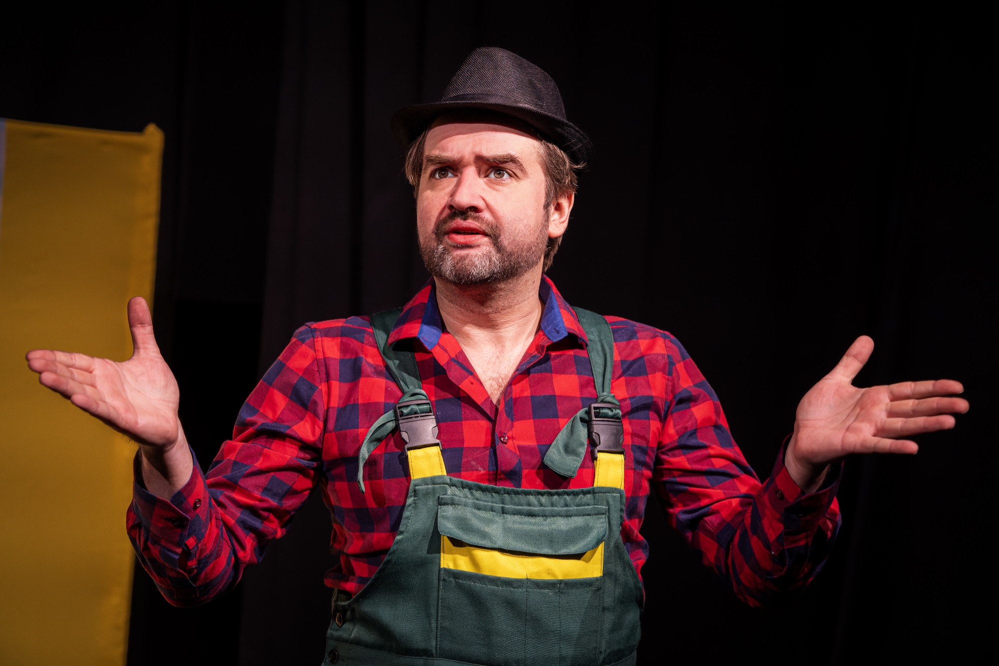 Петсон и Финдус